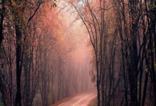 九游娱乐官网：湖人最强3D！父亲被判44年！亲大哥连中7枪.