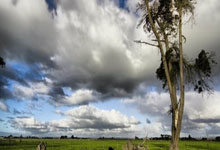 九游娱乐官网：11中9！杜兰特：吉莱斯皮表现非常出色 这能让他建立更多信心.