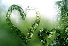 九游娱乐官网：孙颖莎凭什么获得“体操王子”李宁偏爱？三个小细节告诉你真相.