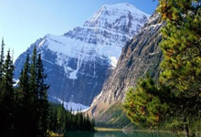 无限期休战，火箭队机会来了？美媒晒6换1方案：小贾白魔换字母哥.